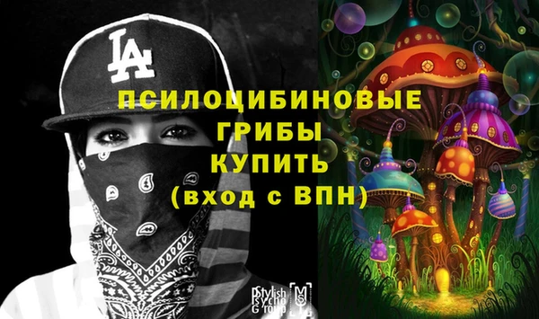 индика Верхний Тагил