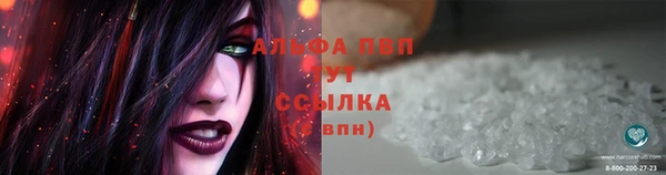 молекула духа Волоколамск